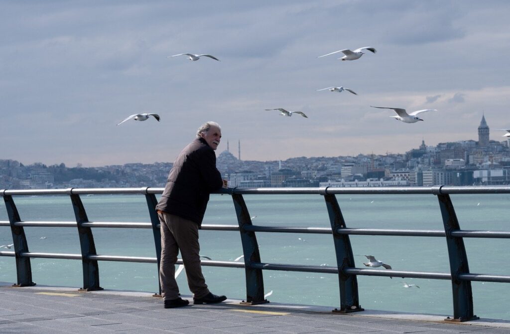 old man, sea, seagulls-7788342.jpg